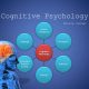 COGNITIVE PSYCHOLOGY